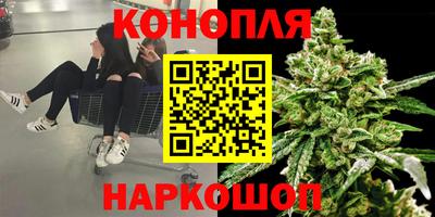 тгк Вязьма