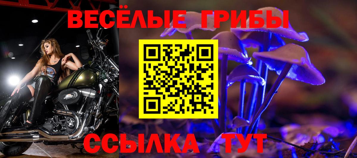 Галлюциногенные грибы Magic Shrooms Кольчугино
